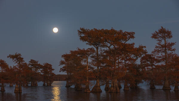 Full mooon above Lake Caddo, Texas

