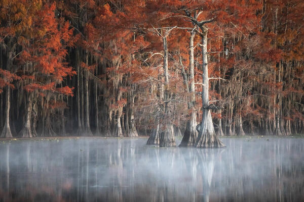 Misty sunrise in Lake Caddo, Texas, in Autumn

