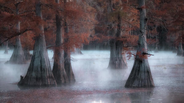 Misty sunrise in Lake Caddo, Texas, in Autumn

