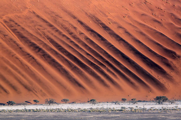 Dune pattern in Namib Naukluft park, Sossusvlei