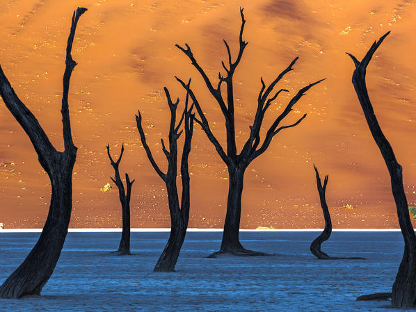 Sunrise from the Deadvlei, Sossusvlei, Namibia.
The blue colors of the dry ponds is due to the reflection of the sky, enhanced by underexposing the picture.