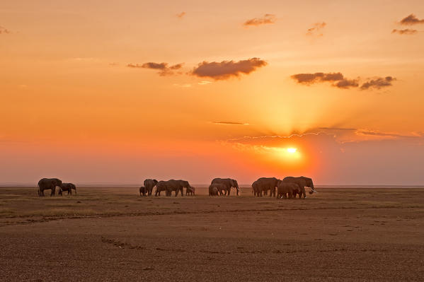 Amboseli Park,Kenya,Africa 
A family of elephants crossing the lake in the dry Amboseli park during sunset.
