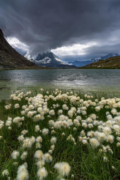 Riffelsee Lake, Matterhorn, Switzerland