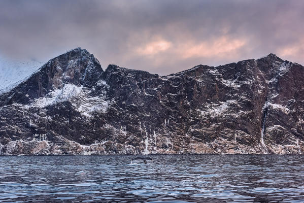 Mefjordvear,Senja, Norway