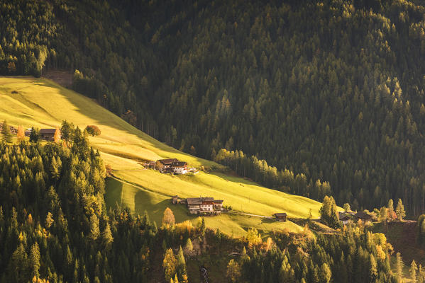 Sant Pietro, Funes, province of Bolzano, Trentino alto Adige, Italy