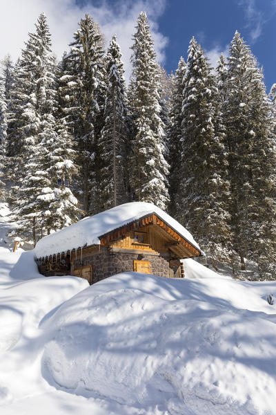 Chalet near Falcade village, Belluno district, Veneto, Italy