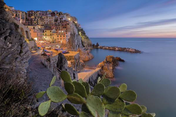 Manarola, Cinque Terre, province of La Spezia, Liguria, Italy, Europe