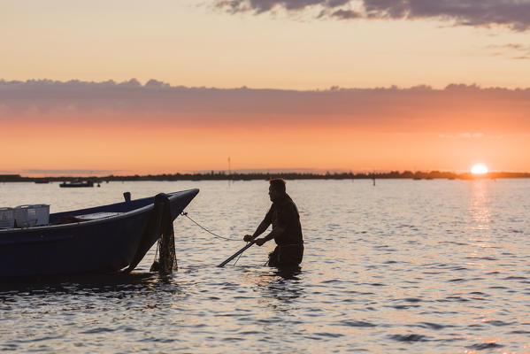 Sacca di Scardovari, Porto Tolle, province of Rovigo, Delta del Po, Veneto, Italy, Europe