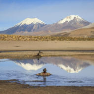 Les Nevados de Payachatas tra Bolivia e Cile (Vulcani Parinacota e Pomerape)