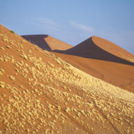 Deserto del Namib Africa