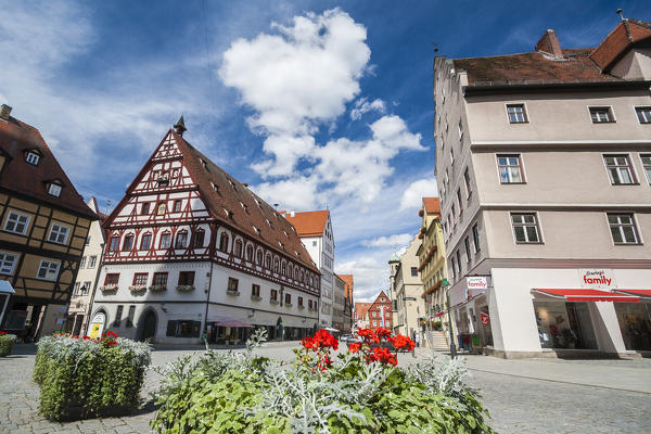 Single nordlingen