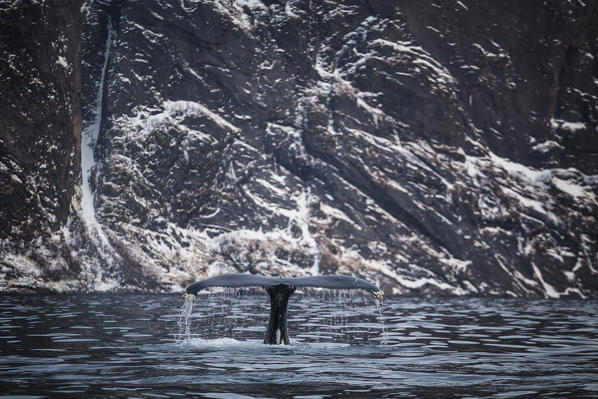 Mefjordvaer Senja Island Norway