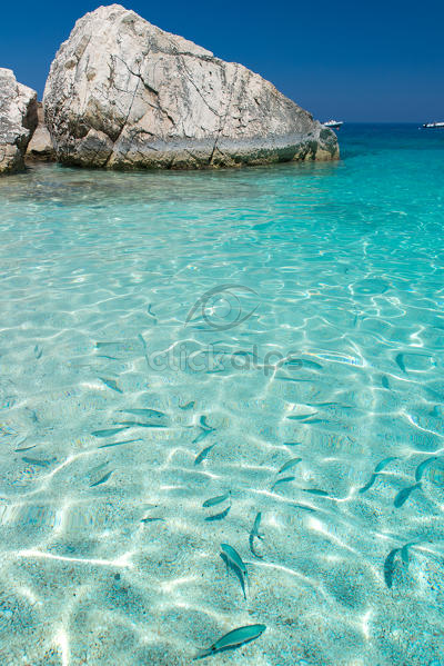 Crystalline Water In Cala Mariolu Beach Baunei Ogliastra Province Sardinia Italy Europe