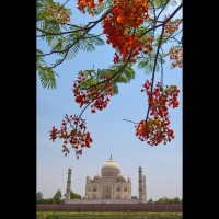 Taj Mahal, Agra