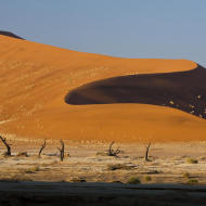 Sossusvlei deserto del Namib Africa