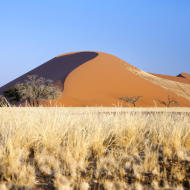 La Duna 45 deserto del Namib Africa