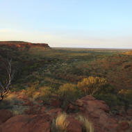 Alba nel deserto Australiano
