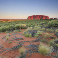 Uluru al tramonto