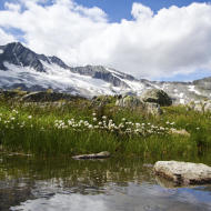 Estate nella Wildgerlostal