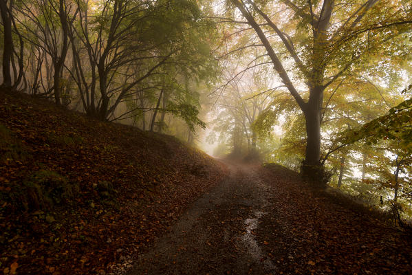 Autumn in Prealpi, Brescia province, Lombardy district, Italy, Europe.