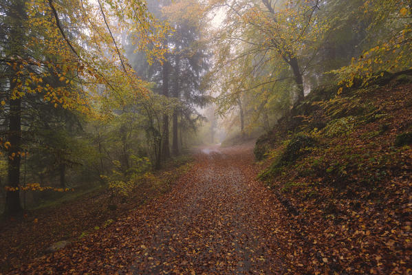 Autumn in Prealpi, Brescia province, Lombardy district, Italy, Europe.