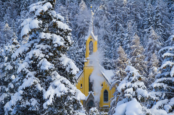 Trees with pristine snow and yellow church. St Moritz, Engadine, Switzerland