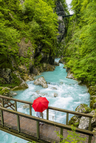 Tolmin gorges, Triglav National Park, Slovenia, East Europe.