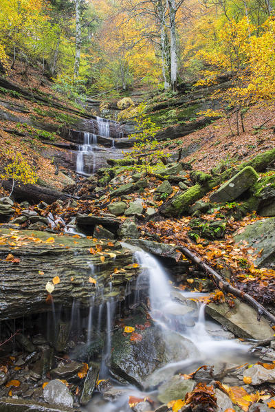 Waterfall in Autumn, Sasso Fratino Integral Natural Reserve, Emilia Romagna district, Italy