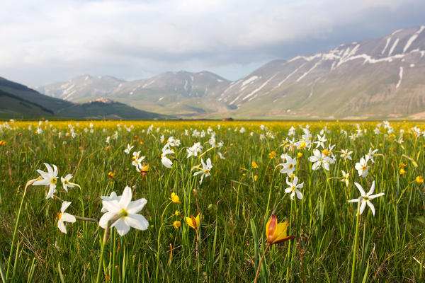 Europe,Italy, Umbria, Perugia district, Sibillini mountains, Castelluccio of Norcia village at sunset 