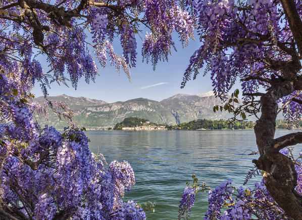 Italy, Lombardy, Como district. Como Lake, Bellagio seen from Cadenabbia
