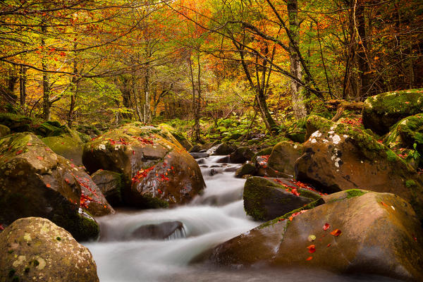 Bologna, Emilia Romagna, Italy. Dardagna river during a very colorful autumn