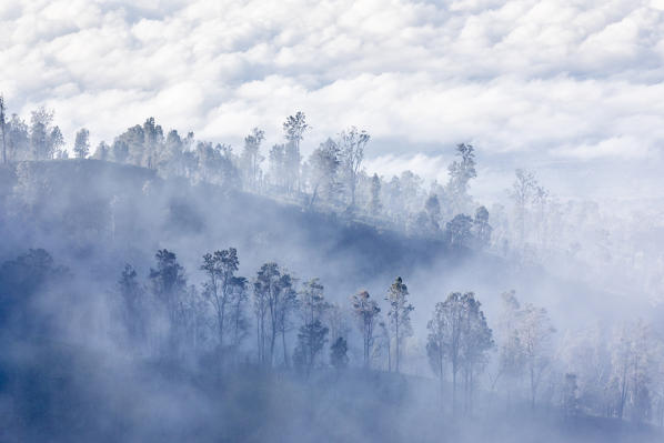 Sulfur mist, Ijen crater, Eastern Giava Island, Indonesia
