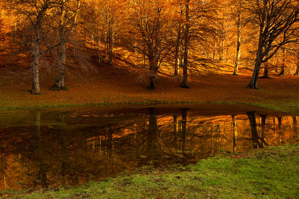 Baremone,Lombardy,Italy
The colors of autumn in Baremone